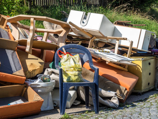 Best Yard Cleanup Services  in Dakota City, NE