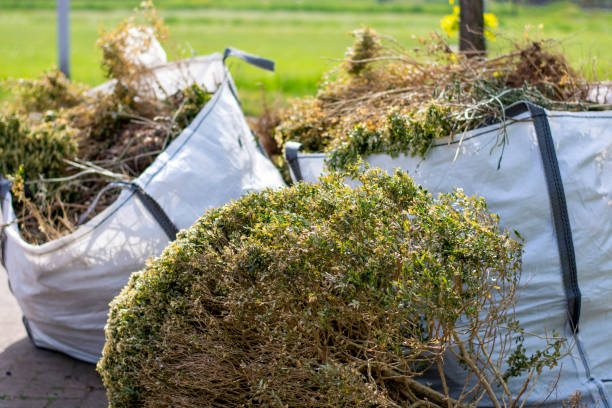 Best Local Junk Hauling  in Dakota City, NE